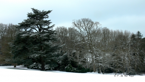 Bois des Moutiers Winterreise (39)